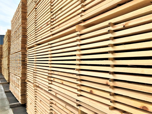 多くの若い仲間と共に働く製材工を募集します！