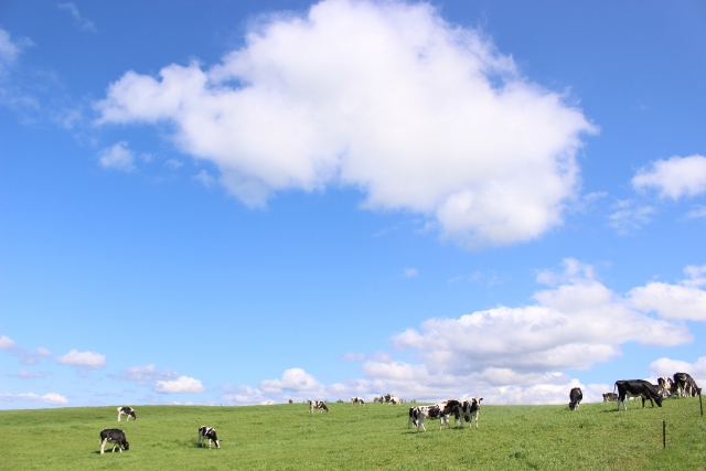 酪農ヘルパー職員募集