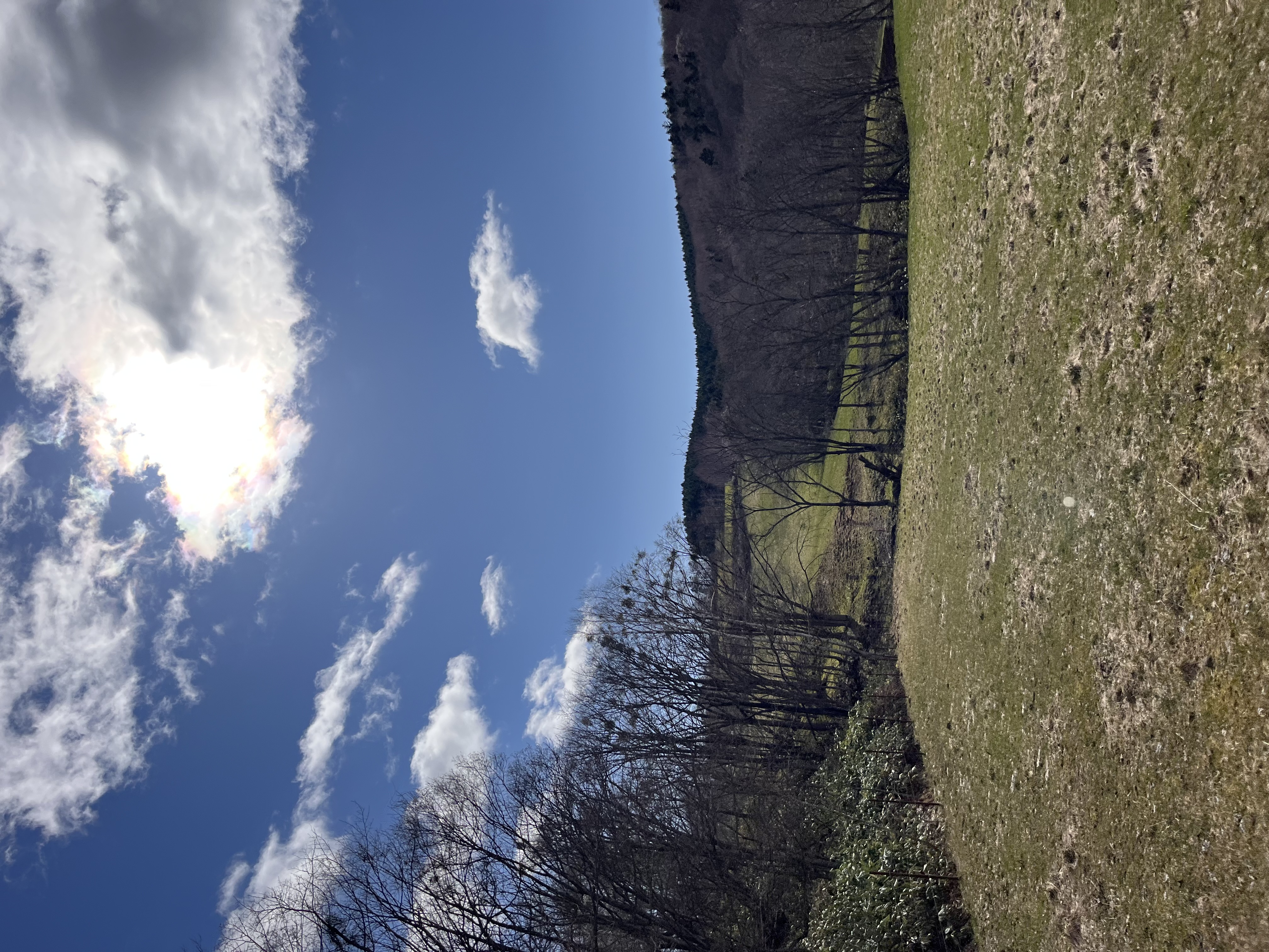 酪農収穫時重機運転作業員