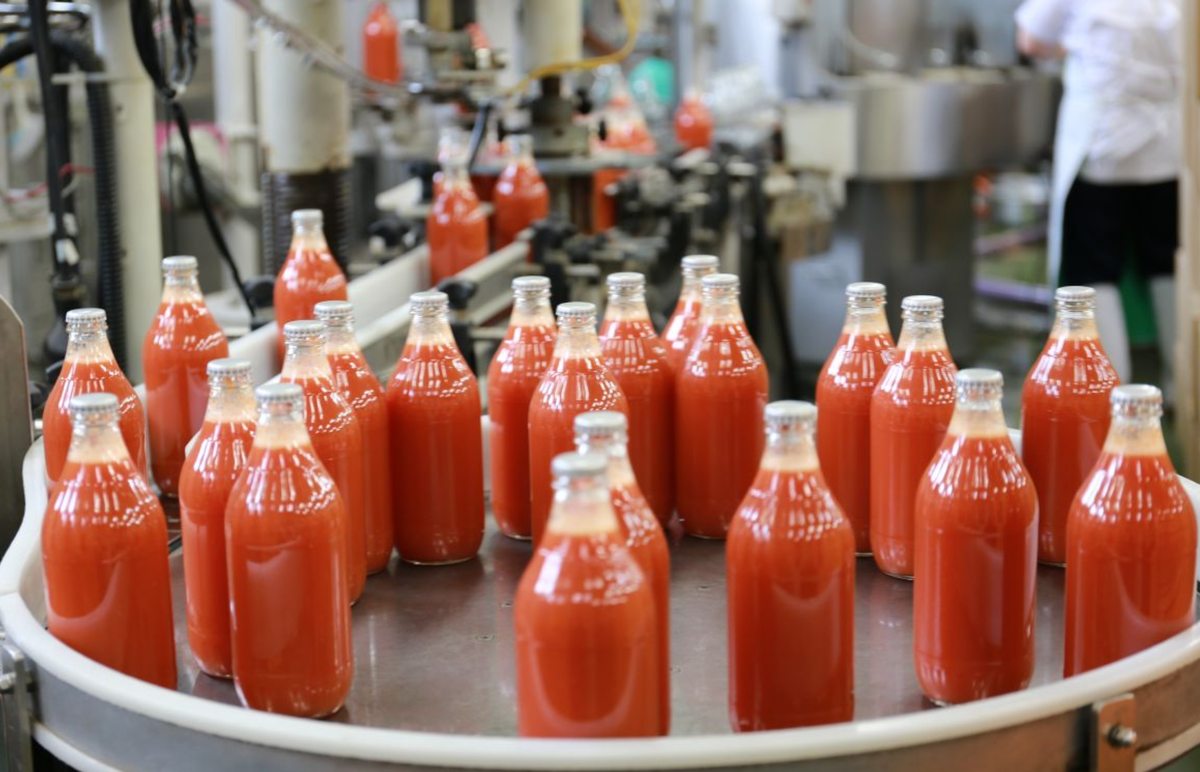 トマトジュース工場運営責任者候補募集！